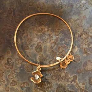Alex And Ani Bundle